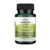 Swanson Full Spectrum Chaga Mushroom, 400 mg, 60 caps