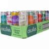 24 x Celsius Mixflak, 355 ml